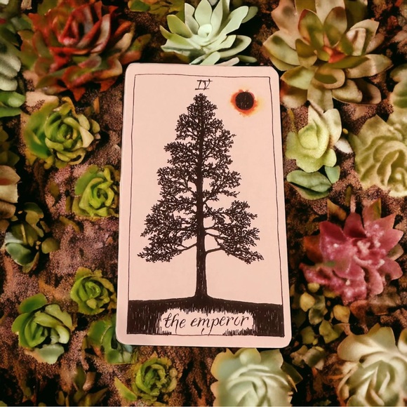 Tarot Cards The Wild Unknown Tarot Deck 78 Cards Beginners Kim Krass New Sealed - Picture 2 of 12